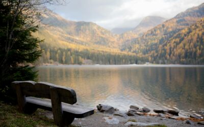 “What They Don’t Tell You About Life After a Heart Attack: Guilt, Grief, and the Fight for Hope”